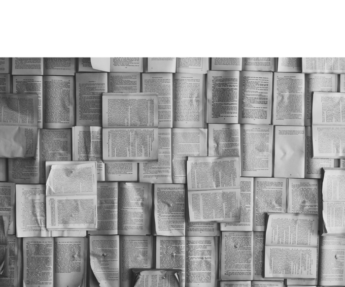 Document Translation Document Translation